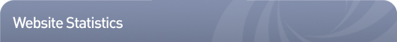 Website Statistics Website Statistics
